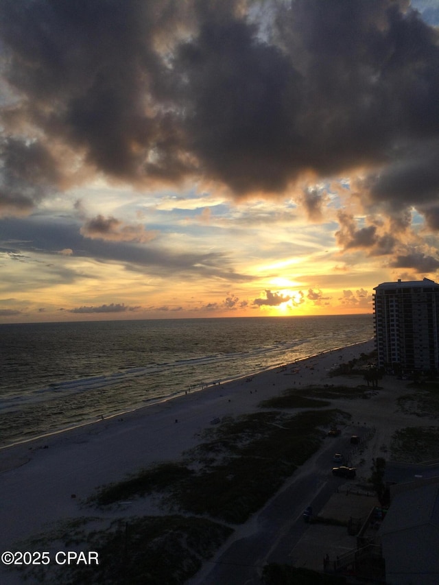 property view of water featuring a beach view