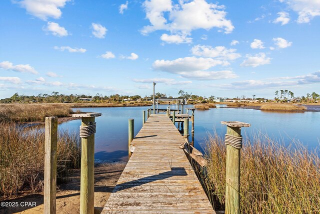 dock area featuring a water view