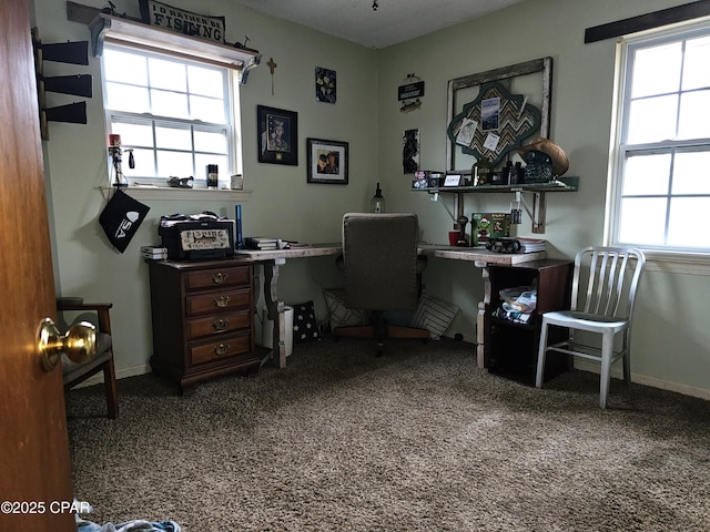 view of carpeted home office