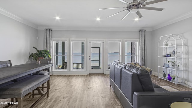 living room featuring crown molding, ceiling fan, and light hardwood / wood-style flooring