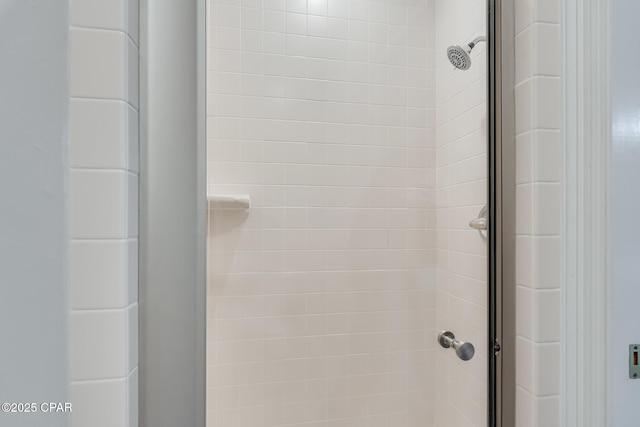 interior details with walk in shower