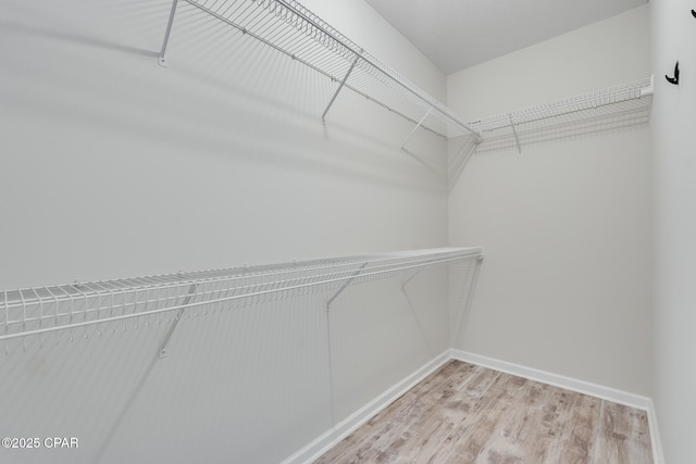 walk in closet featuring light wood-type flooring