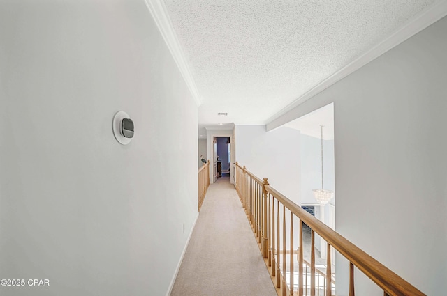 hall with crown molding, light carpet, and a textured ceiling