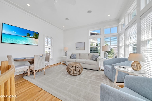 living room featuring crown molding and wood-type flooring