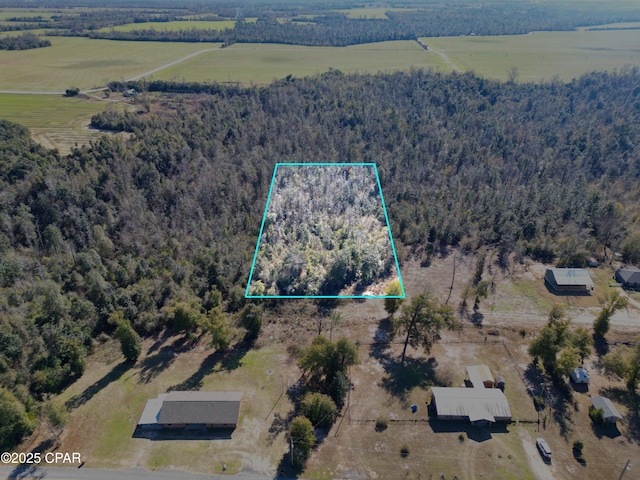 15263 Rudolf Rackley St, Altha FL, 32421 land for sale