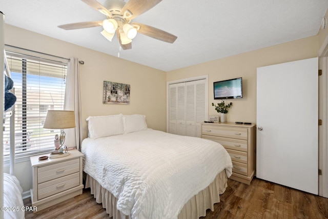 bedroom featuring dark hardwood / wood-style flooring, a closet, and ceiling fan