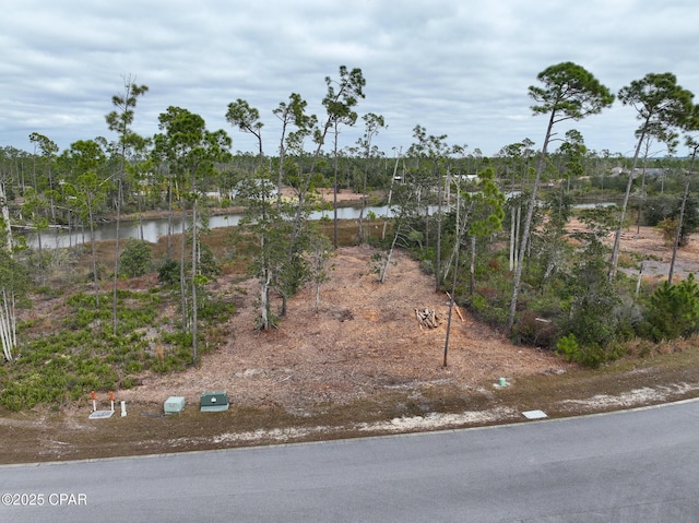 Listing photo 3 for 923 Watermark Way, Panama City FL 32404