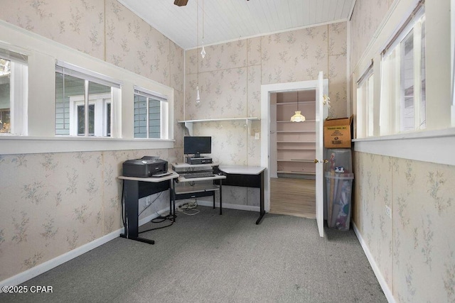 office space featuring ceiling fan, carpet, and a wealth of natural light