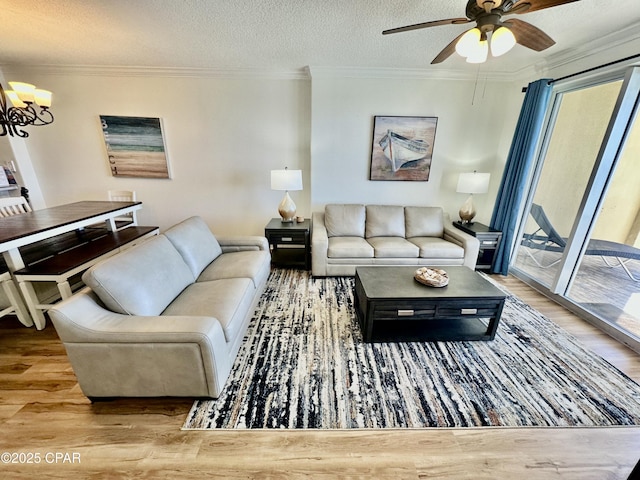 living room featuring a textured ceiling, ornamental molding, and a healthy amount of sunlight