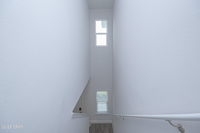 staircase with hardwood / wood-style flooring and plenty of natural light