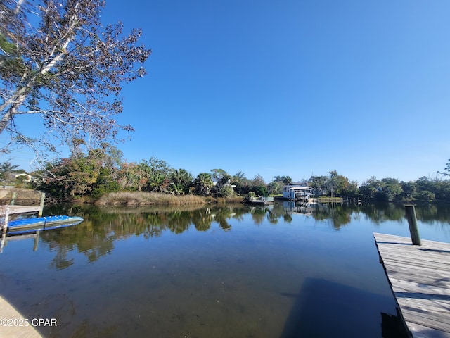 dock area with a water view