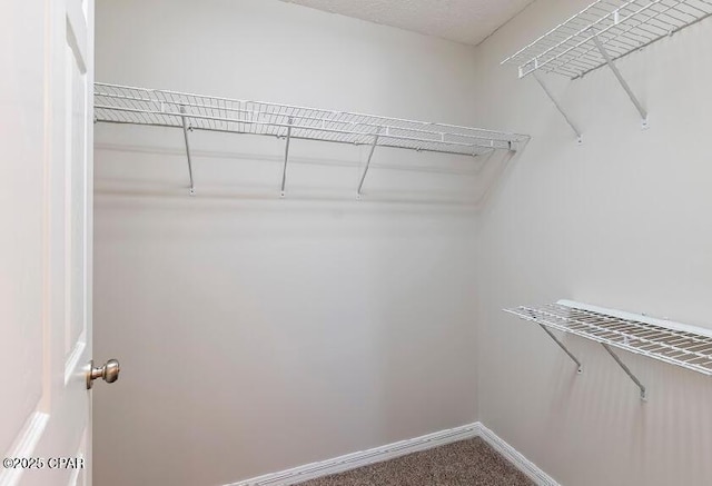 spacious closet with carpet flooring