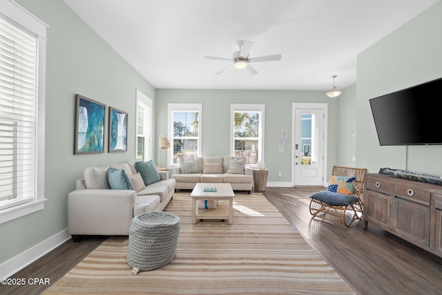 living room featuring ceiling fan and dark hardwood / wood-style flooring