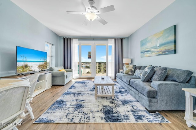 living room with ceiling fan, plenty of natural light, and light hardwood / wood-style flooring