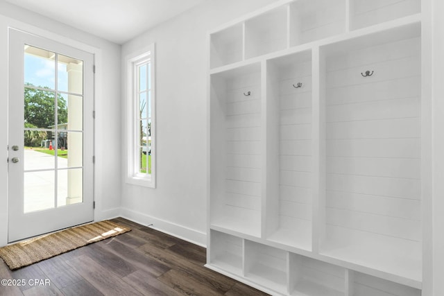 mudroom featuring dark wood-type flooring