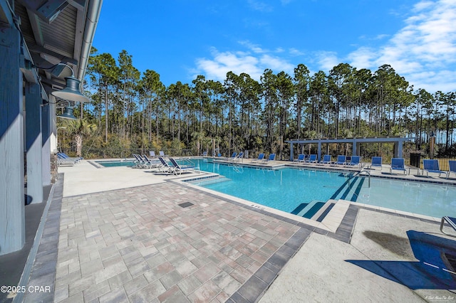 view of pool featuring a patio area