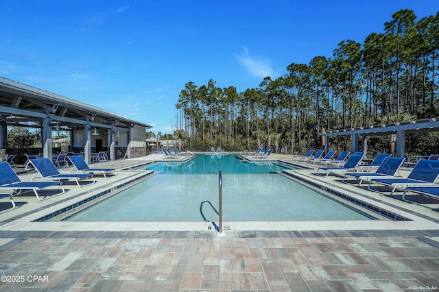 view of pool featuring a patio area