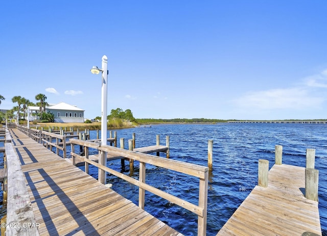 dock area with a water view