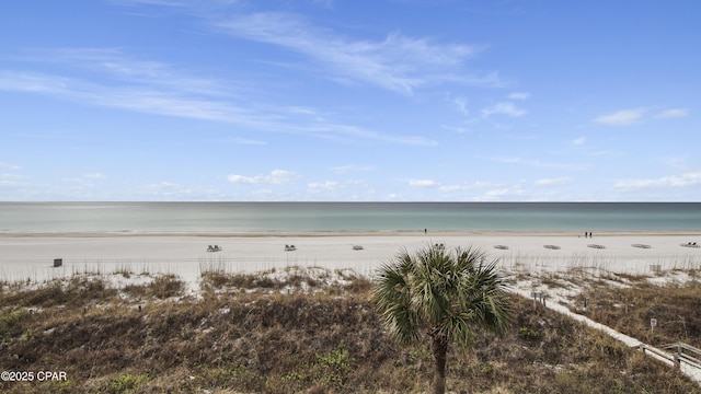 view of water feature with a beach view