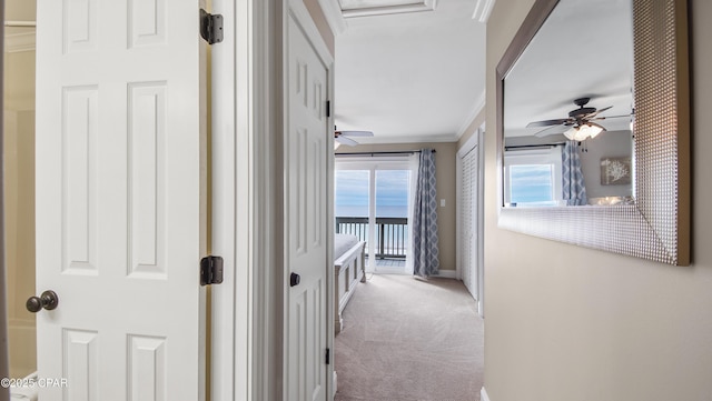 hallway featuring crown molding and carpet