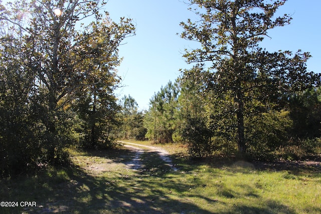 view of landscape