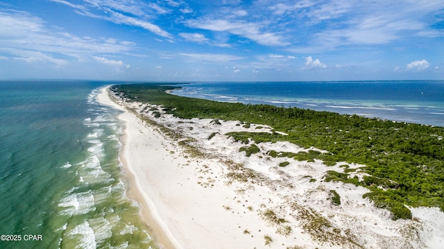 property view of water with a beach view