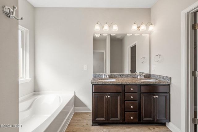 bathroom featuring a washtub, vanity, and wood-type flooring