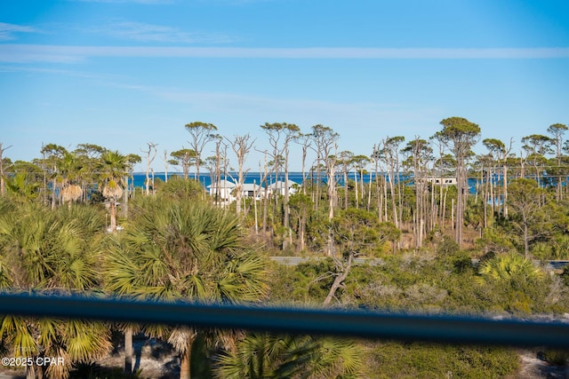 121 Gulf Hibiscus Dr, Port St Joe, FL 32456 - exterior space