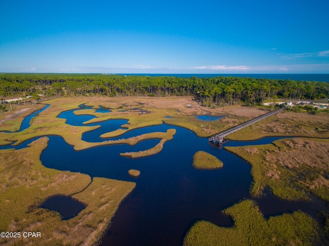 drone / aerial view with a water view and a forest view