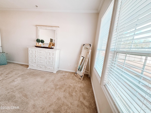 interior space featuring ornamental molding