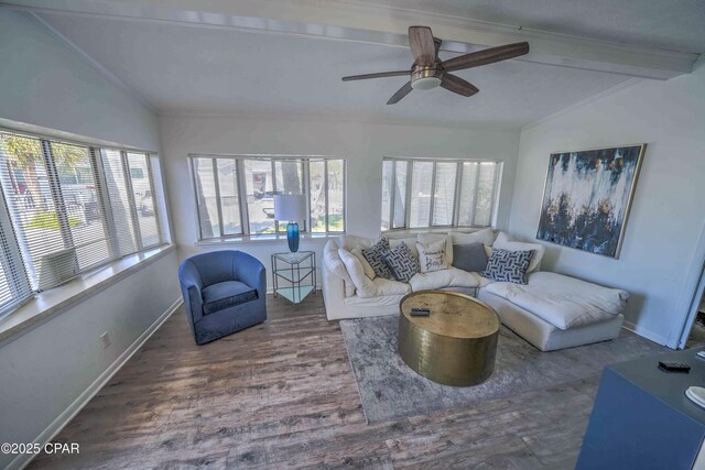 living room featuring ceiling fan, lofted ceiling with beams, crown molding, and hardwood / wood-style flooring