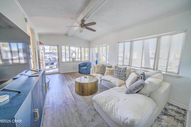 living room featuring hardwood / wood-style floors, ceiling fan, a textured ceiling, ornamental molding, and lofted ceiling with beams