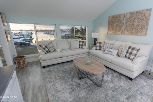 living room with lofted ceiling and wood-type flooring