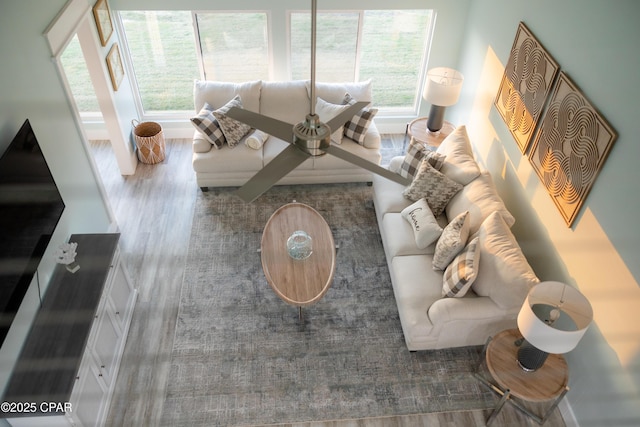 living area featuring wood finished floors