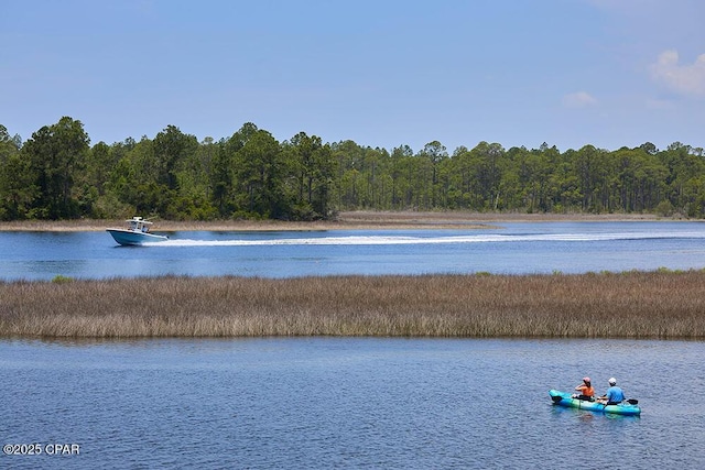 property view of water featuring a wooded view