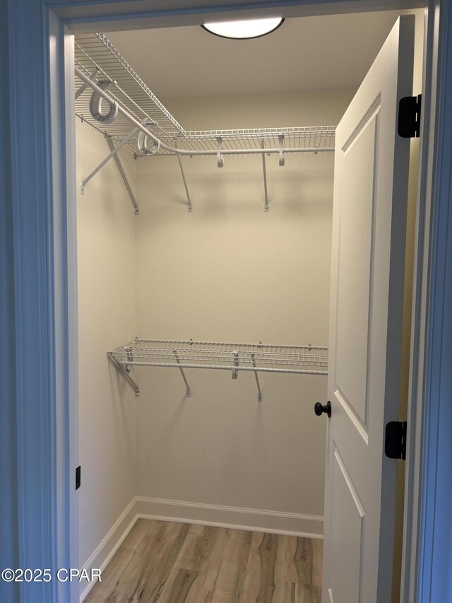 spacious closet with wood-type flooring