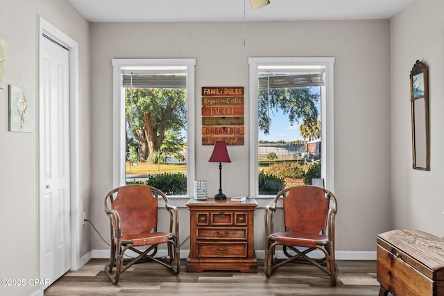 sitting room featuring ceiling fan and wood-type flooring