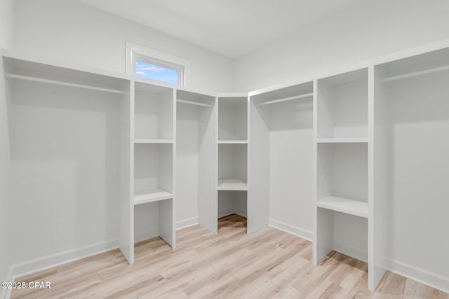 spacious closet with light hardwood / wood-style floors