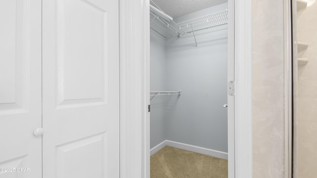 spacious closet with carpet