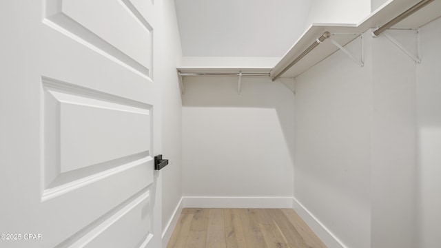 walk in closet with light wood-type flooring