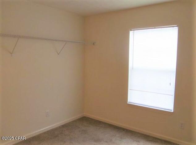 walk in closet featuring light carpet