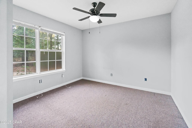 unfurnished room with ceiling fan and carpet flooring