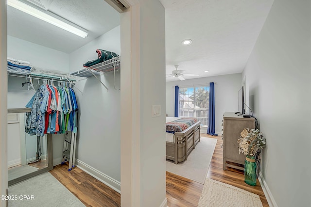 spacious closet featuring wood-type flooring and ceiling fan