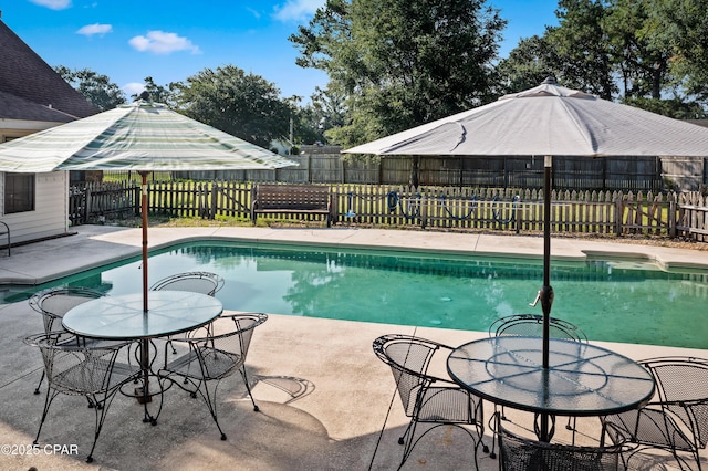 view of swimming pool featuring a patio