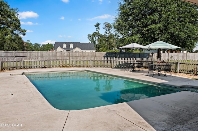 view of pool with a patio area