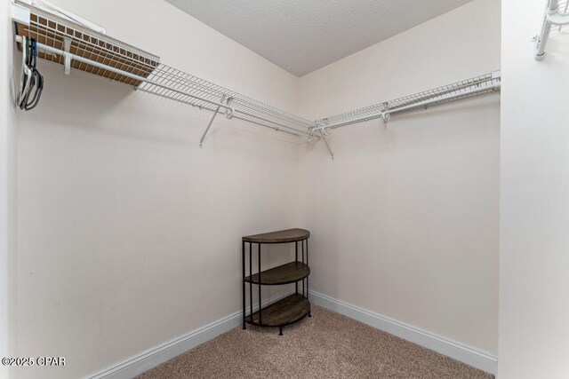 spacious closet with carpet flooring