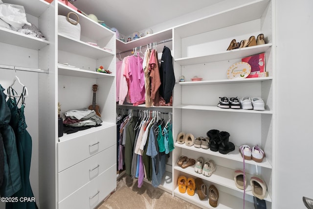 spacious closet with light carpet