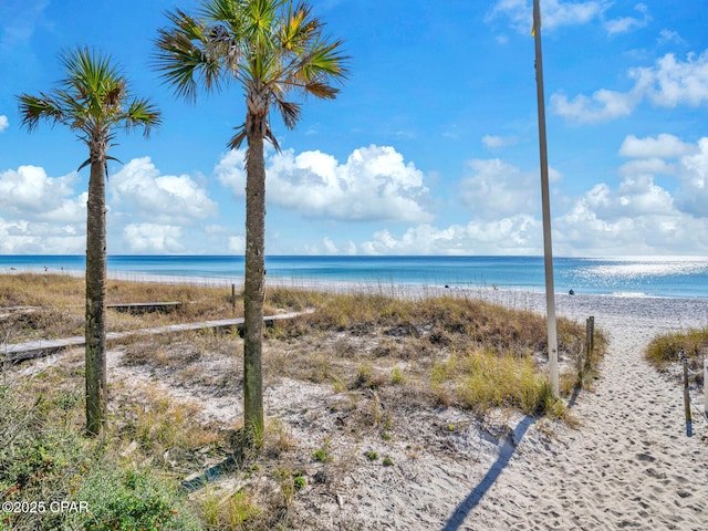 water view featuring a beach view