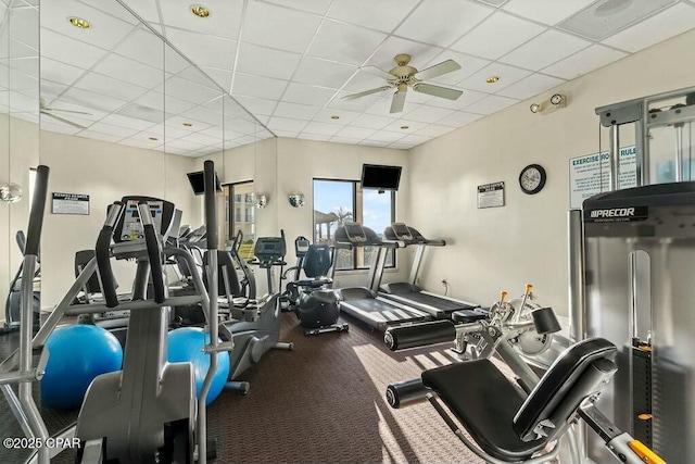 gym featuring ceiling fan and a drop ceiling