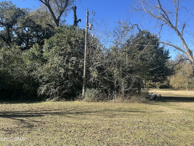 view of local wilderness